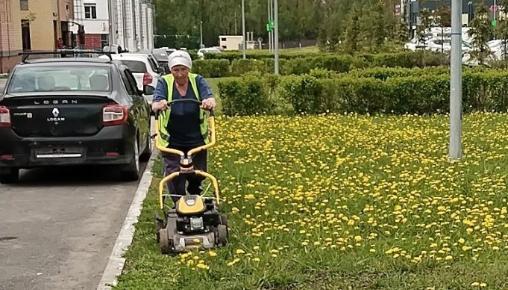 Результаты благоустройства в ЖК «Царево Village» за май 2025