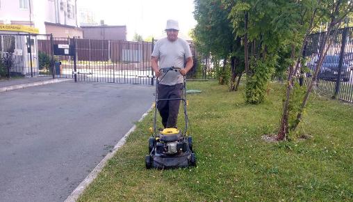 Результаты благоустройства в ЖК «Журавли» за август 2025