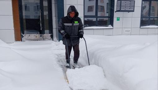 Результаты благоустройства ЖК «Царево City» за январь 2026