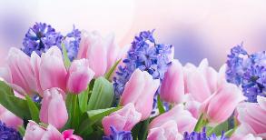 График работы офиса в праздники