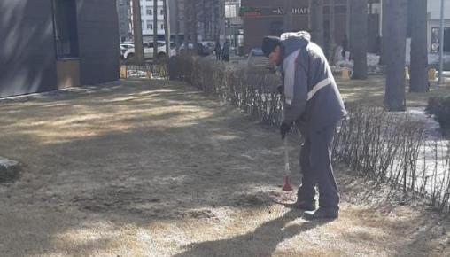 Результаты благоустройства в ЖК «Венский лес» за апрель 2025