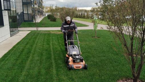 Результаты благоустройства в ЖК «Царево City» за сентябрь 2025 г.