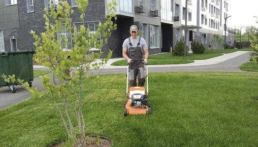 Результаты благоустройства в ЖК «Лето» за июнь 2025