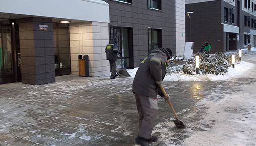 Результаты благоустройства в ЖК «Беседа» за ноябрь 2022