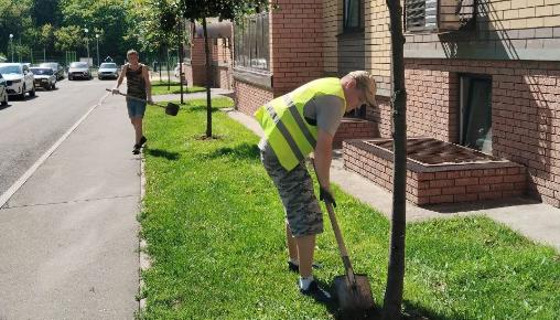 Результаты благоустройства в ЖК «Царево Village» за август 2025