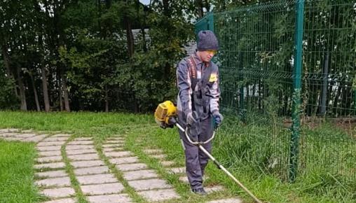 Результаты благоустройства в ЖК «Венский лес» за август 2025