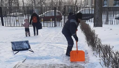 Результаты благоустройства в ЖК «Венский лес» за февраль 2025