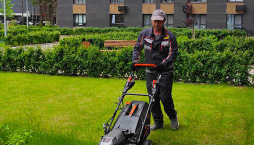 Результаты благоустройства в ЖК «Венский лес» за июнь 2022