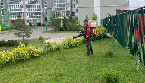 Результаты благоустройства в ЖК «Весна» за июнь 2022