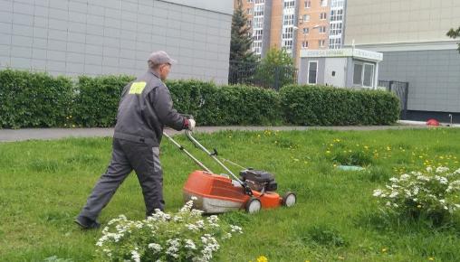 Результаты благоустройства в ЖК «Сокольники» за май 2025