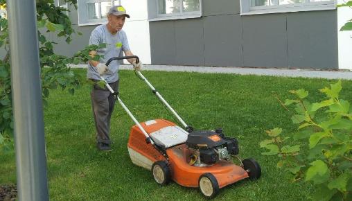 Результаты благоустройства в ЖК «Весна» за июнь 2025