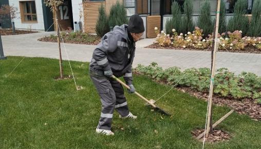 Результаты благоустройства в ЖК «Царево City» за октябрь 2025 г.