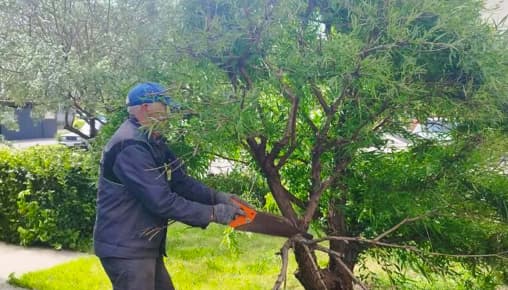 Результаты благоустройства в ЖК «Южный бульвар» за июнь 2025