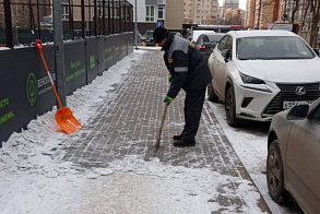 Результаты благоустройства в ЖК «Венский лес»