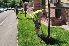 Результаты благоустройства в ЖК «Царево Village»
