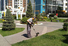 Результаты благоустройства в ЖК «ART City»