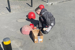Результаты благоустройства в ЖК «ART City»
