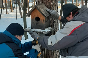 Результаты благоустройства в ЖК «Венский лес»