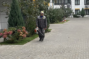Результаты благоустройства в ЖК «ART City»