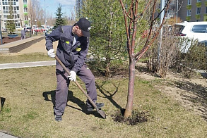 Результаты благоустройства в ЖК «Южный бульвар»