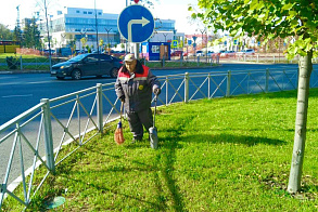 Работы по благоустройству территории ЖК «ART City»