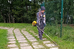 Результаты благоустройства в ЖК «Венский лес»