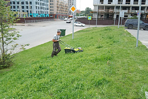 Результаты благоустройства в ЖК «Весна»