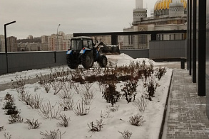 Результаты благоустройства в ЖК «Уникум на Коммунистической»