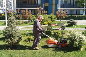 Результаты благоустройства в ЖК «ART City»