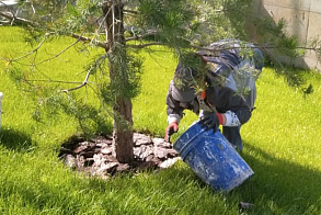 Результаты благоустройства в ЖК «Уникум на Коммунистической»