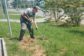 Результаты благоустройства в ЖК «Лето»