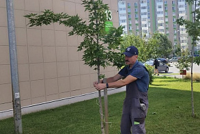 Результаты благоустройства в ЖК «Южный бульвар»