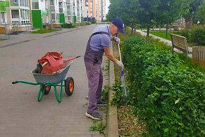 Результаты благоустройства в ЖК «Южный бульвар» за июнь 2025
