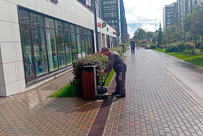 Результаты благоустройства в ЖК «ART City»