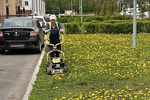 Результаты благоустройства в ЖК «Царево Village»