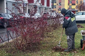 Результаты благоустройства