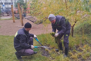 Результаты благоустройства в ЖК «Южный бульвар»