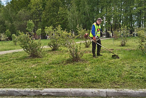 Результаты благоустройства в ЖК «Царево Village»