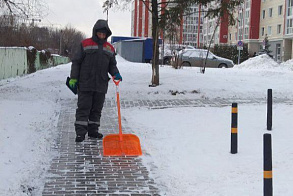 Результаты благоустройства в ЖК «Сокольники»