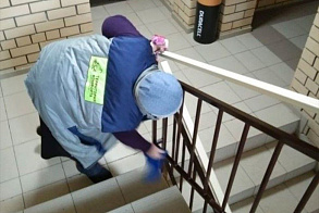 Результаты благоустройства в ЖК «Царево Вилладж»