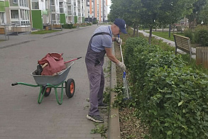 Результаты благоустройства в ЖК «Южный бульвар»
