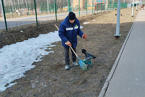 Результаты благоустройства в ЖК «Царево Village»