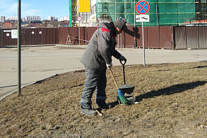 Результаты благоустройства в ЖК «Весна»