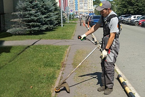 Результаты благоустройства в ЖК «Сокольники»
