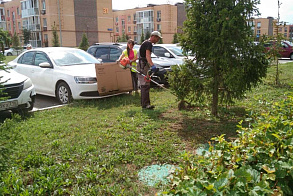 Результаты благоустройства