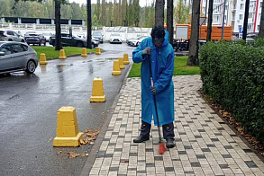 Результаты благоустройства в ЖК «Венский лес»