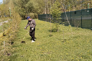 Результаты благоустройства в ЖК «Царево Village»