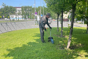 Результаты благоустройства в ЖК «ART City»