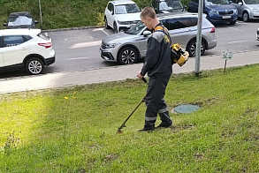 Результаты благоустройства в ЖК «Венский лес»