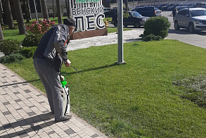Результаты благоустройства в ЖК «Венский лес»